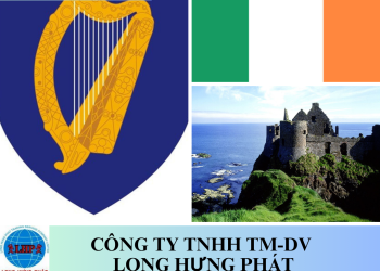 Chuyển phát nhanh hàng hóa đi Ireland bằng đường biển