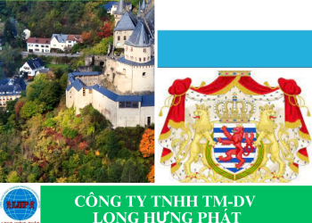 Chuyển phát nhanh hàng hóa đi Luxembourg bằng đường biển