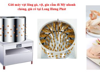 Gửi máy vặt lông gia cầm đi Mỹ