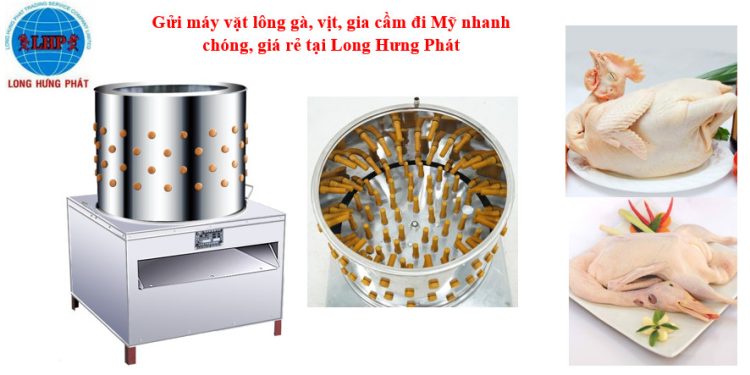 Gửi máy vặt lông gia cầm đi Mỹ