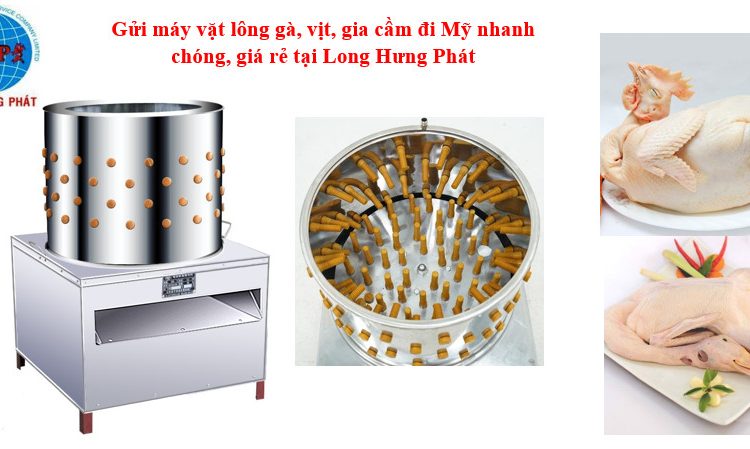 Gửi máy vặt lông gia cầm đi Mỹ