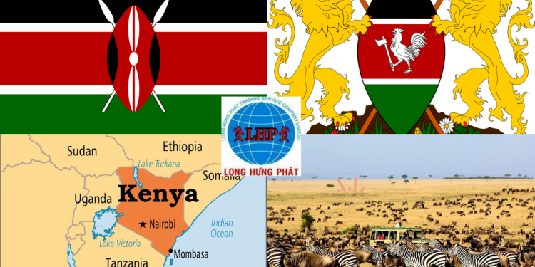 Gửi hàng đi Kenya nhanh chóng