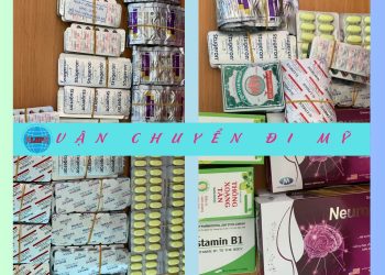 gửi thuốc tây đi Mỹ