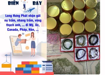 Vận chuyển đi các nước dễ dàng tại Long Hưng Phát Express