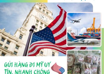 Dịch vụ gửi hàng đi Mỹ tại tphcm