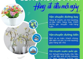gửi bình hoa đi Mỹ