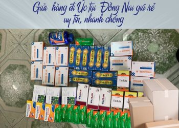 Dịch vụ vận chuyển gửi hàng đi Úc tại Đồng Nai giá rẻ, uy tín