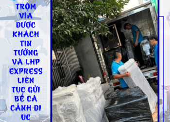 Gửi bể cảnh đi Úc giá cạnh tranh, uy tín