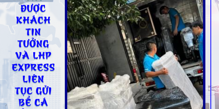 Gửi bể cảnh đi Úc giá cạnh tranh, uy tín