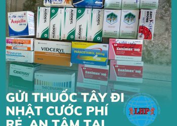 Gửi thuốc tây đi Nhật