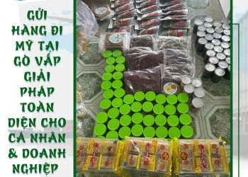 Gửi Hàng Đi Mỹ Tại Gò Vấp – Nhanh Chóng, An Toàn, Giao Nhận Tận Nơi