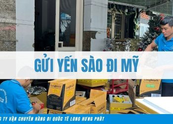 gửi yến sào đi Mỹ